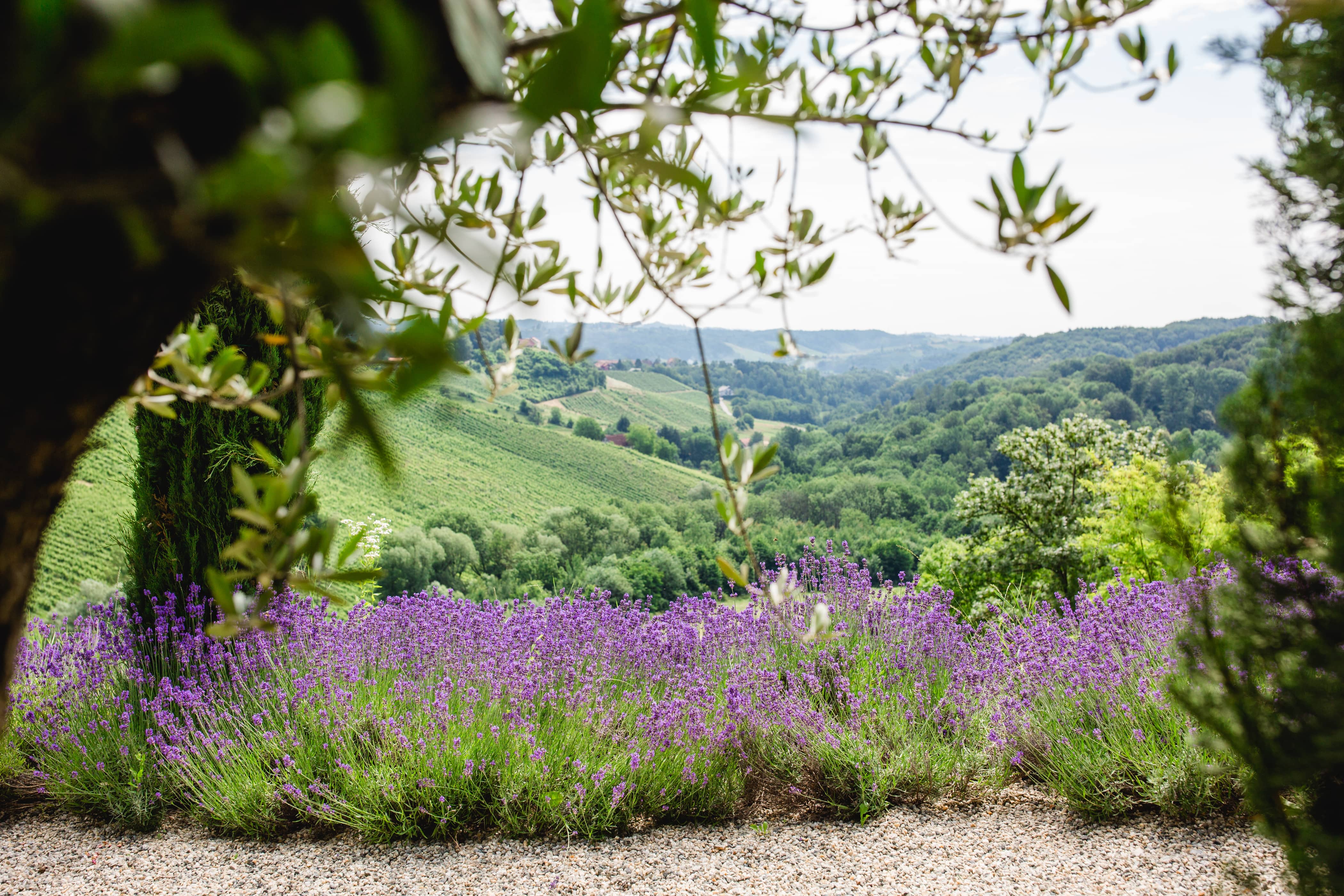 Genießen Sie die Zeit im Schaugarten Steiermark!