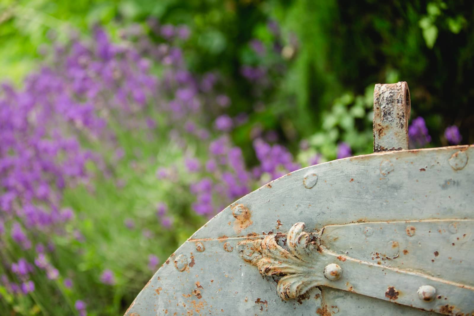 Buchen Sie noch heute Ihre Gartenführung durch den Garten Polz
