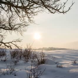 Winterzeit Südsteiermark Garten Polz