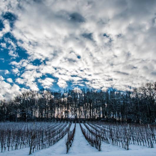 Polz Garten Südsteiermark Garten Renate Polz am Hochgrassnitzberg