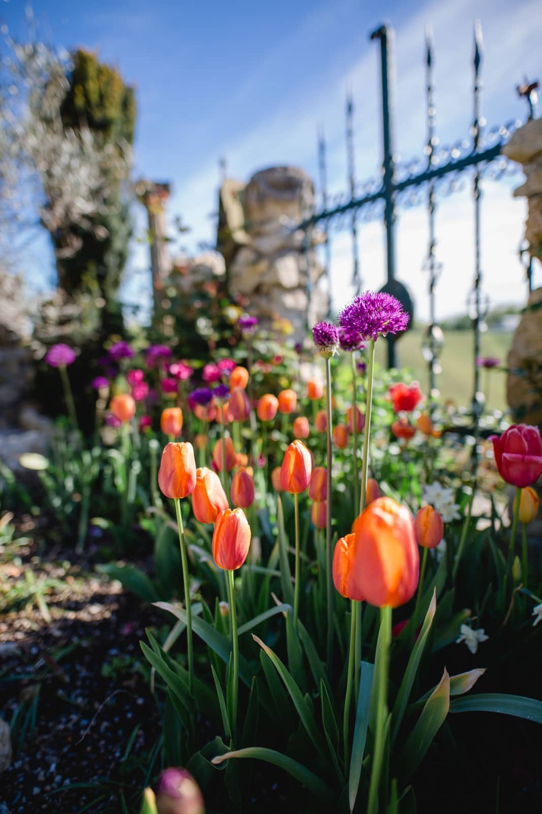 Steiermark Frühling im Südsteiermark Garten Polz