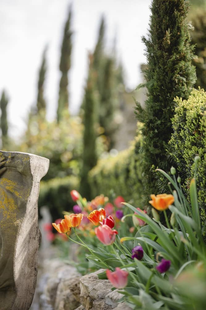 Tulpenpracht im@Südsteiermark Garten Polz Frühling im austria gardens steiermark garten dokumentierte Führungen im Garten & Weinberg Gartenkultur vom Feinsten 90 Minuten lang !