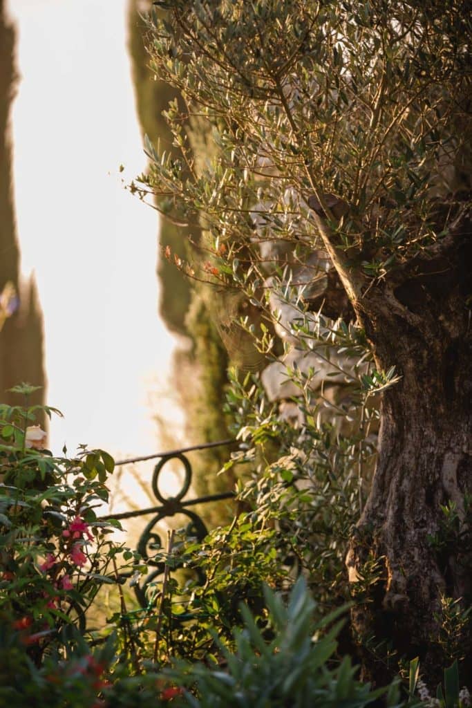 Polz Garten oder @Südsteiermark Garten Polz Gartenhochzeit Freie Trauung Seelenzeit Coaching im Garten für die Seele Aufstellung Stressbewältigung Krisen Trauerbegleitung Meditation Zuhören Gartenführung botanisch und energetisch mit Renate Polz Energetische Arbeiten Quantenphysik Liegende Acht