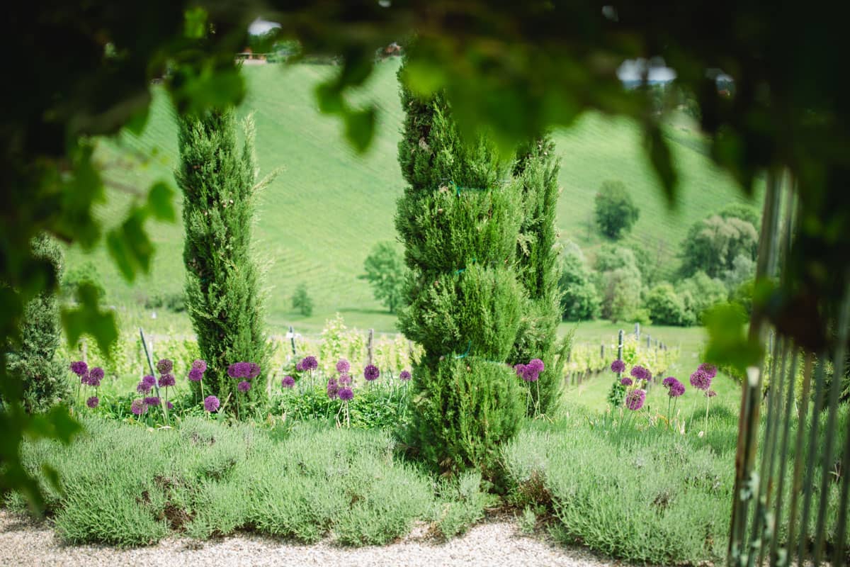 Polz Garten Südsteiermark @ Südsteiermark Garten Gartenführung Naturcoaching Freie Trauung Steiermark Hochzeit austrianweddings Weingartenhochzeit greenwedding einzigartige Location Bioblumen mediterraner Garten Südsteiermark am Hochgrassnitzberg