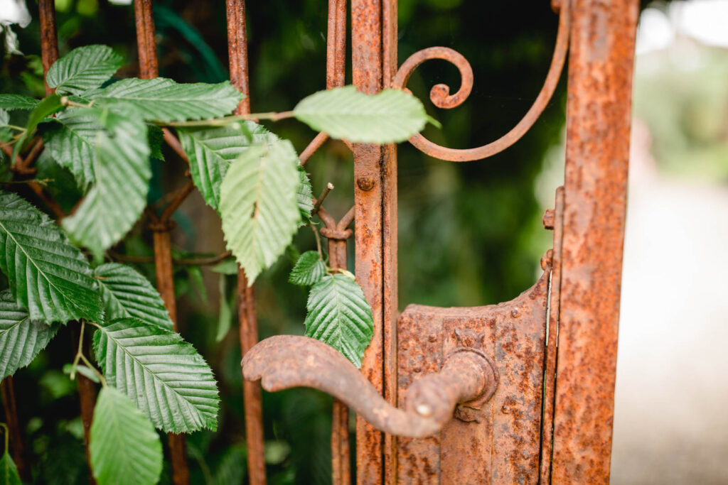 @Polz Garten Südsteiermark standesamtliche trauungen lavendelfeld mediterraner garten weingarten gartenführungen vorab oder danach pärchenshootings hochzeiten packages