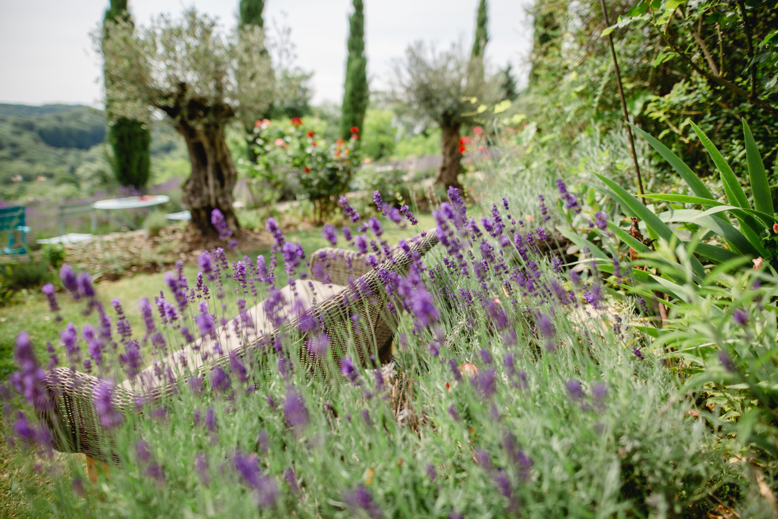 @Polz Garten Südsteiermark standesamtliche trauungen lavendelfeld mediterraner garten weingarten gartenführungen vorab oder danach pärchenshootings hochzeiten packages
