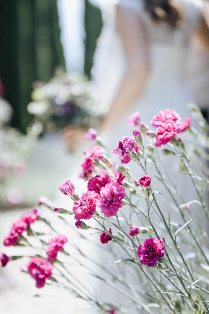 @Polz Garten Südsteiermark standesamtliche trauungen lavendelfeld mediterraner garten weingarten gartenführungen vorab oder danach pärchenshootings hochzeiten packages
