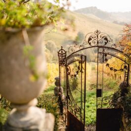 Polz Garten by @Südsteiermark Garten Renate Polz Südsteiermark Hochgrassnitzberg Gartenhochzeit standesamtliche Trauung Weingarten Naturwiese Naturcoach Bioblumen Austria gardens Österreich garten Steiermark mediterraner Garten steirische Toscana style Hofladen Gartenführungen Ehe für Alle Hochzeitspackages Südsteiermark