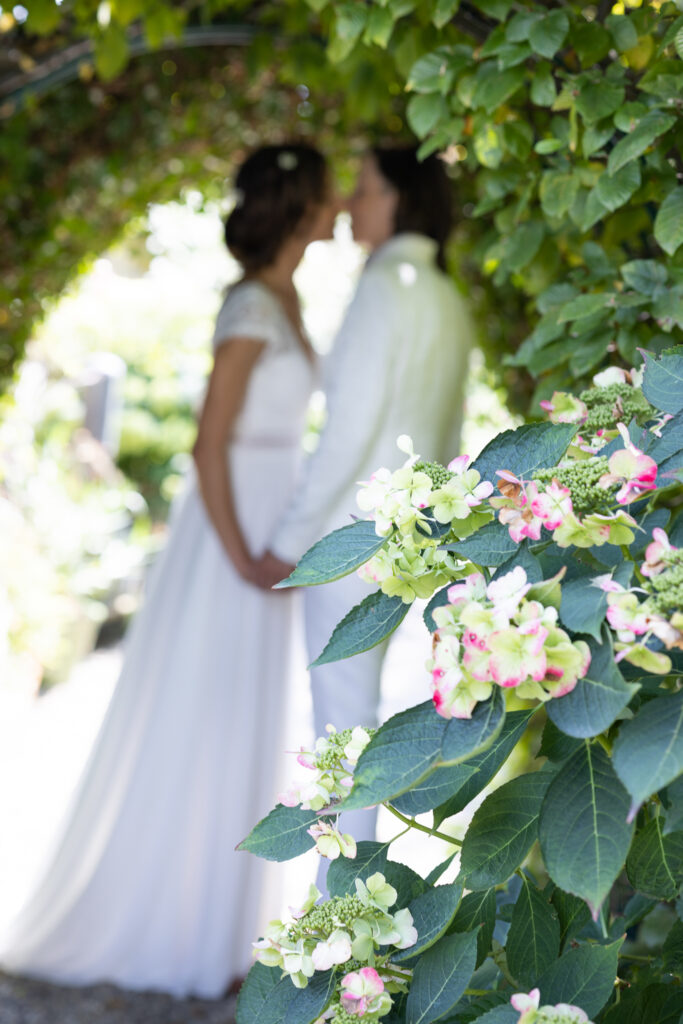 Polz Garten by @Südsteiermark Garten Renate Polz Südsteiermark Hochgrassnitzberg Gartenhochzeit standesamtliche Trauung Weingarten Naturwiese Naturcoach Bioblumen Austria gardens Österreich garten Steiermark mediterraner Garten steirische Toscana style Hofladen Gartenführungen Ehe für Alle Hochzeitspackages Südsteiermark