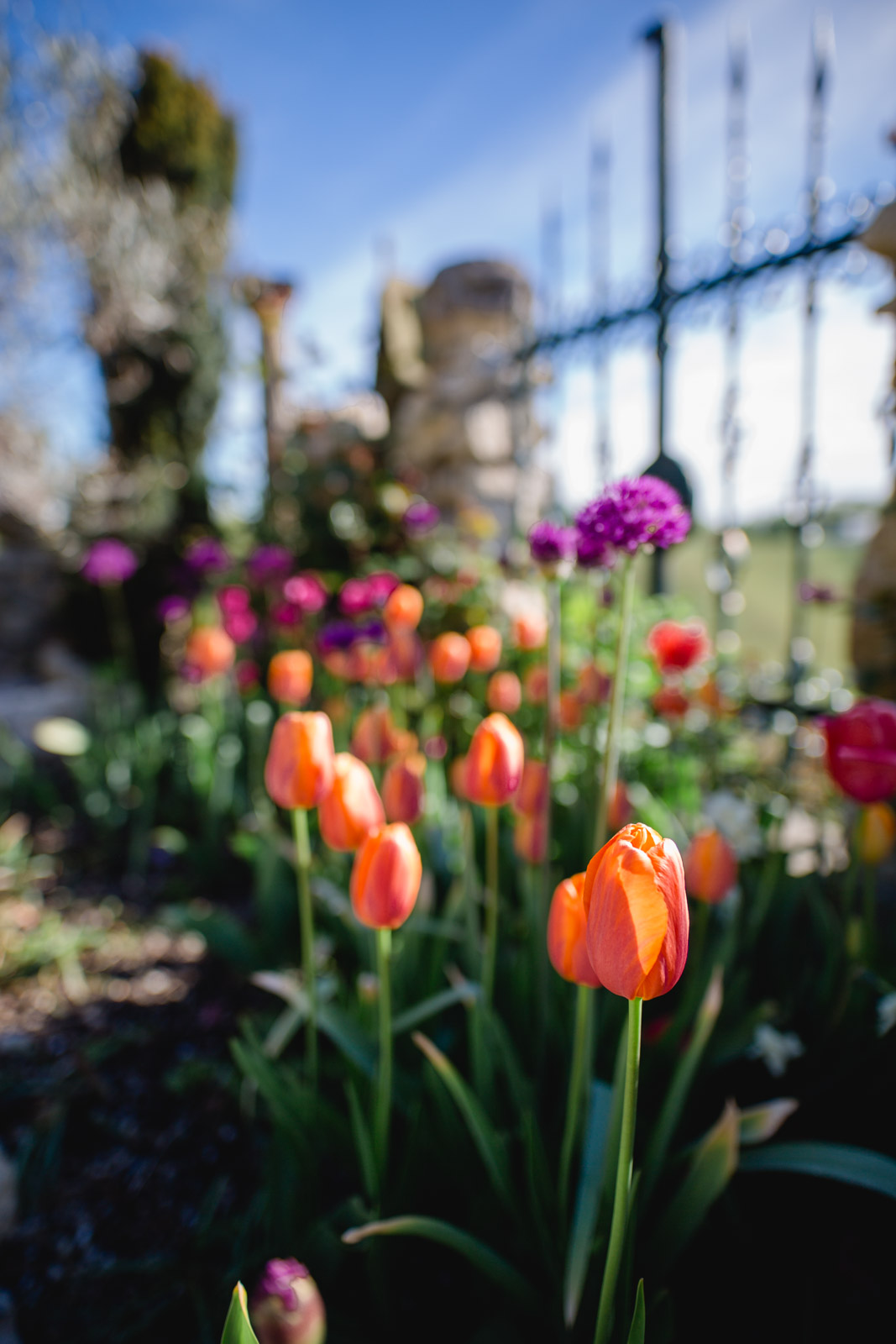 Südsteiermark Garten Polz Brautpaarshooting am Hochgrassnitzberg
