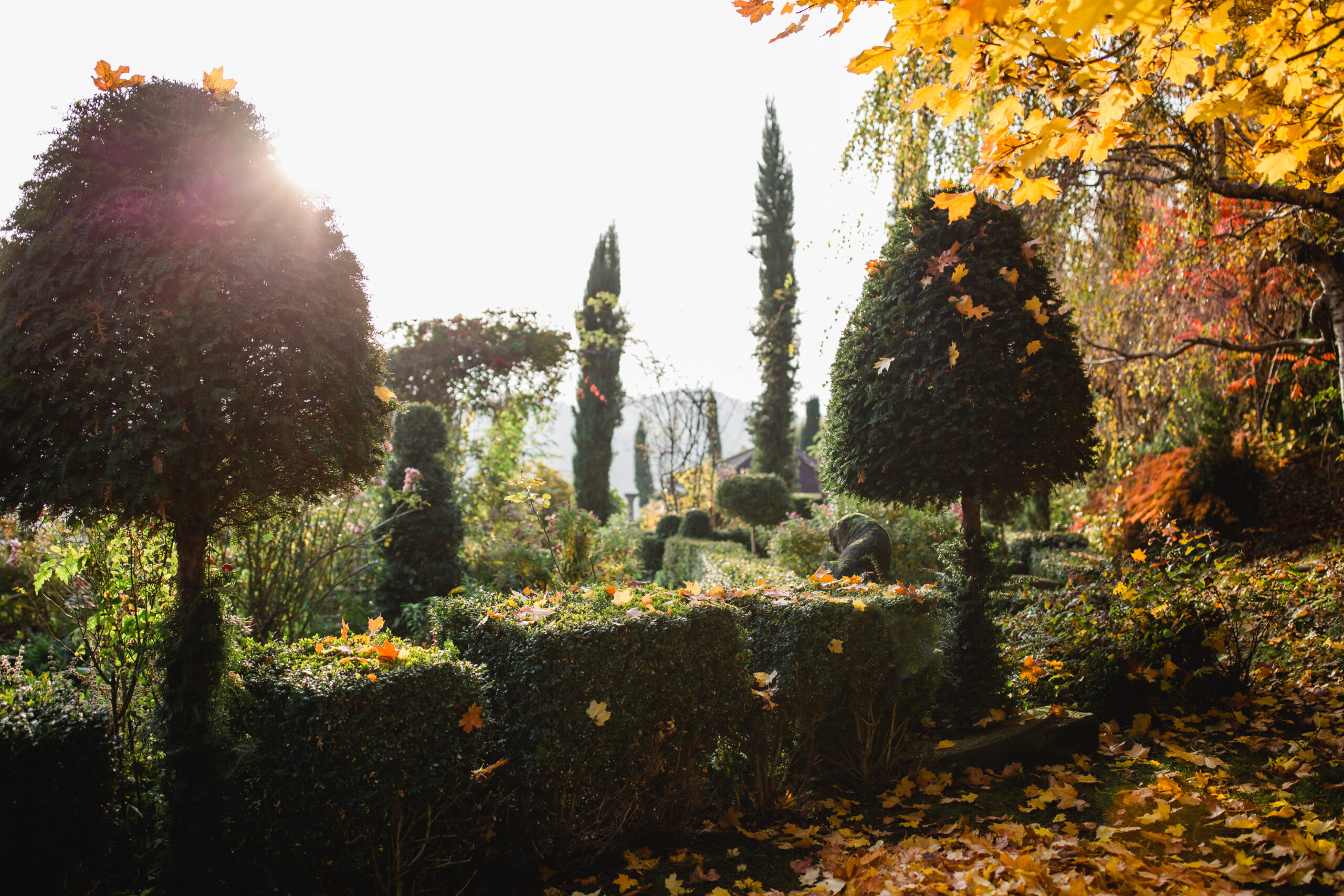 Garten Polz Hochgrassnitzberg Südsteiermark