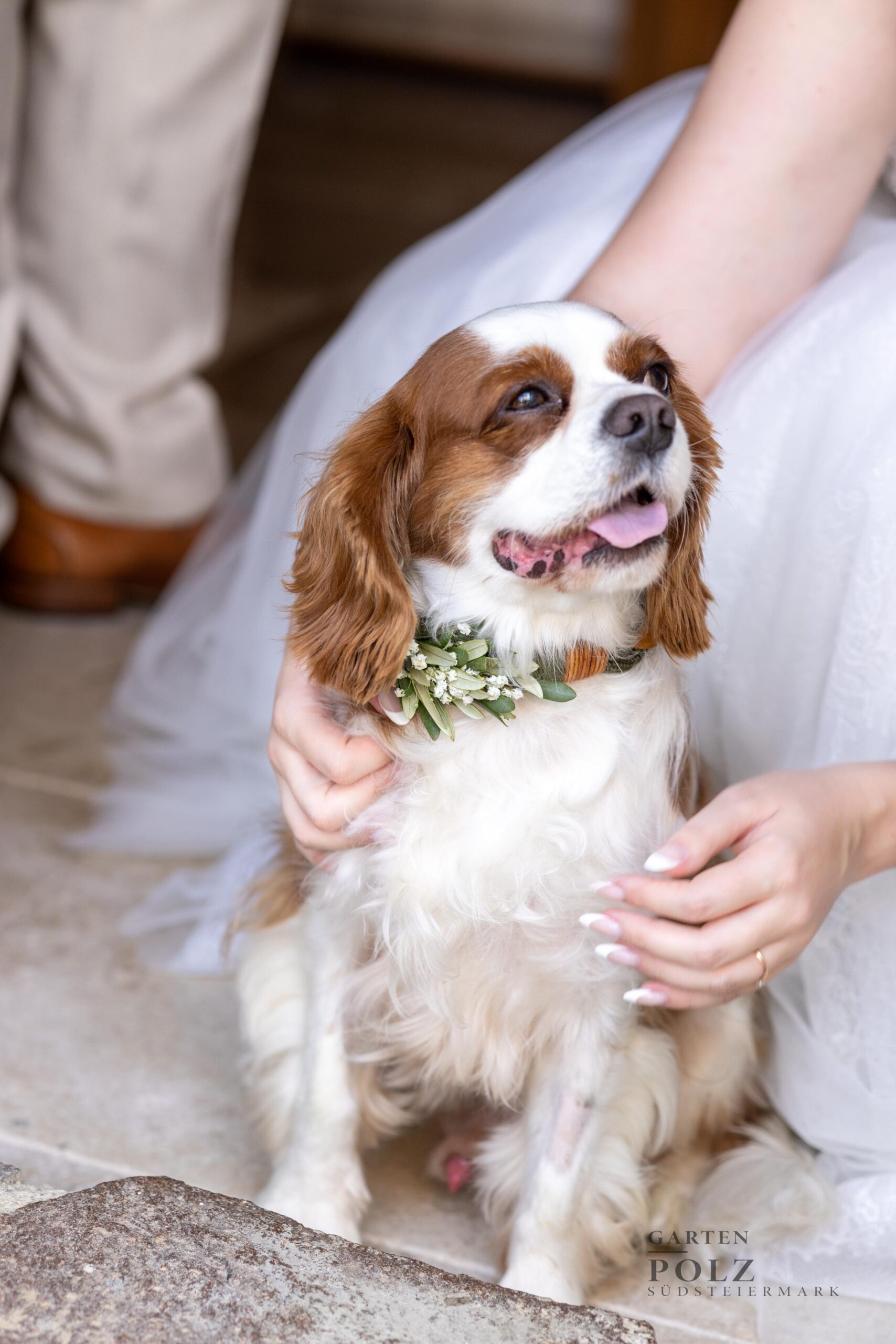 Südsteiermark Polz Garten
