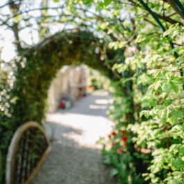 Garten Polz Hochgrassnitzberg Hochzeitfotografie Hochzeitenpackages Südsteiermark