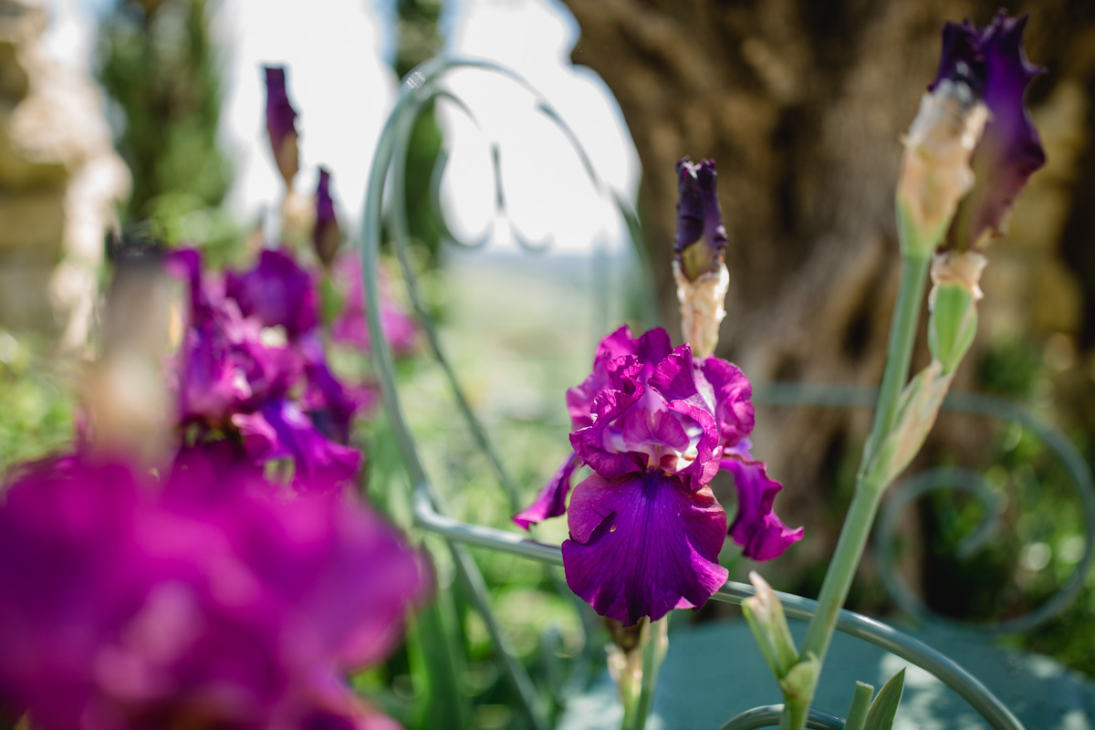 Polz Garten Hochgrassnitzberg Südsteiermark