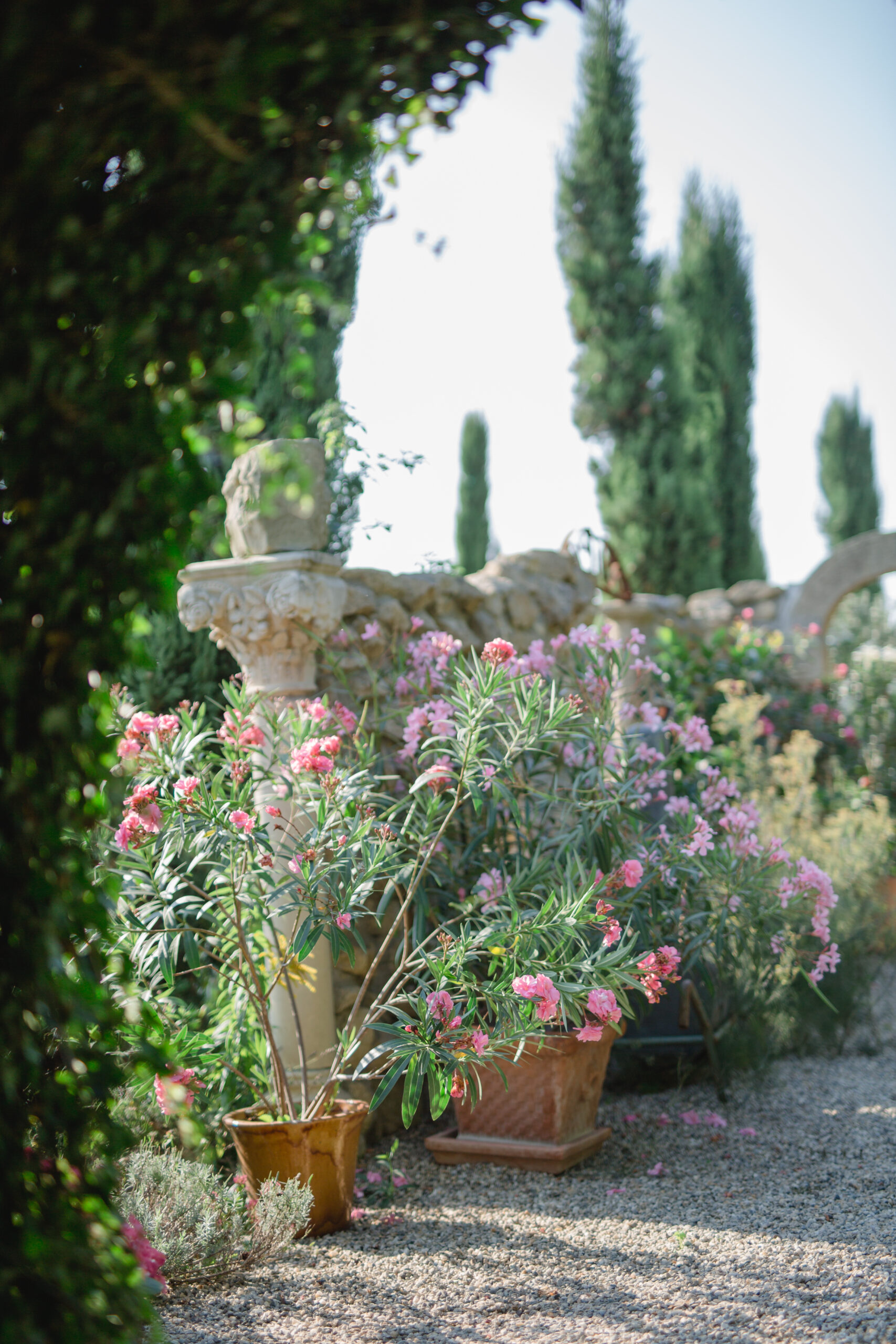 Garten Polz am Hochgrassnitzberg Fotografie Renate Polz WKO