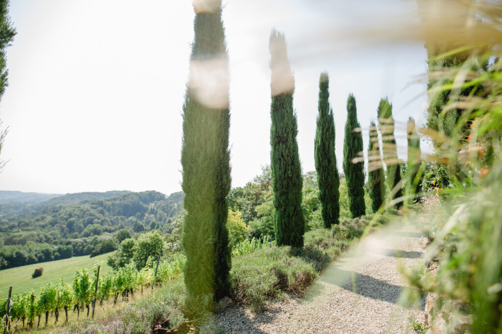 Südsteiermark Garten Polz am Hochgrassnitzberg einzigartige Zypressenallee in Österreich