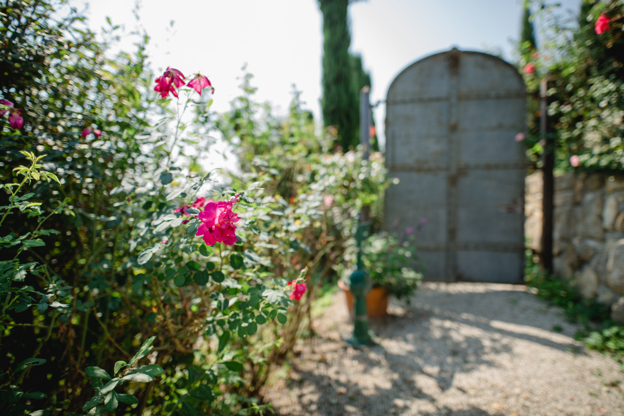 Garten Polz am Hochgrassnitzberg/ Südsteiermark/ geschützte Marke Patentamt by Renate Polz