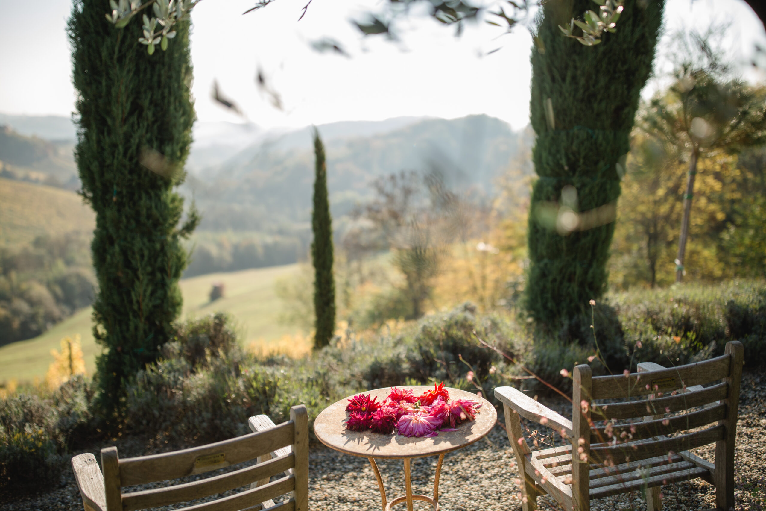 Südsteiermark Garten Polz am Hochgrassnitzberg einzigartige Zypressenallee in Österreich