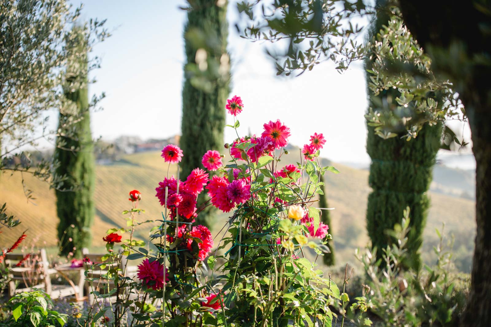 Garten Polz Südsteiermark by Renate Polz Hochgrassnitzberg Herbstpoesie
