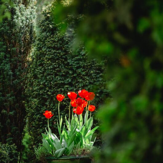 Botanische Führungen und traumhafte Trauungen mit Hochzeitsfotografie in der idyllischen Südsteiermark.