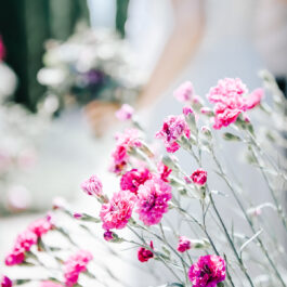 Hochzeitsfotografie by Renate Polz