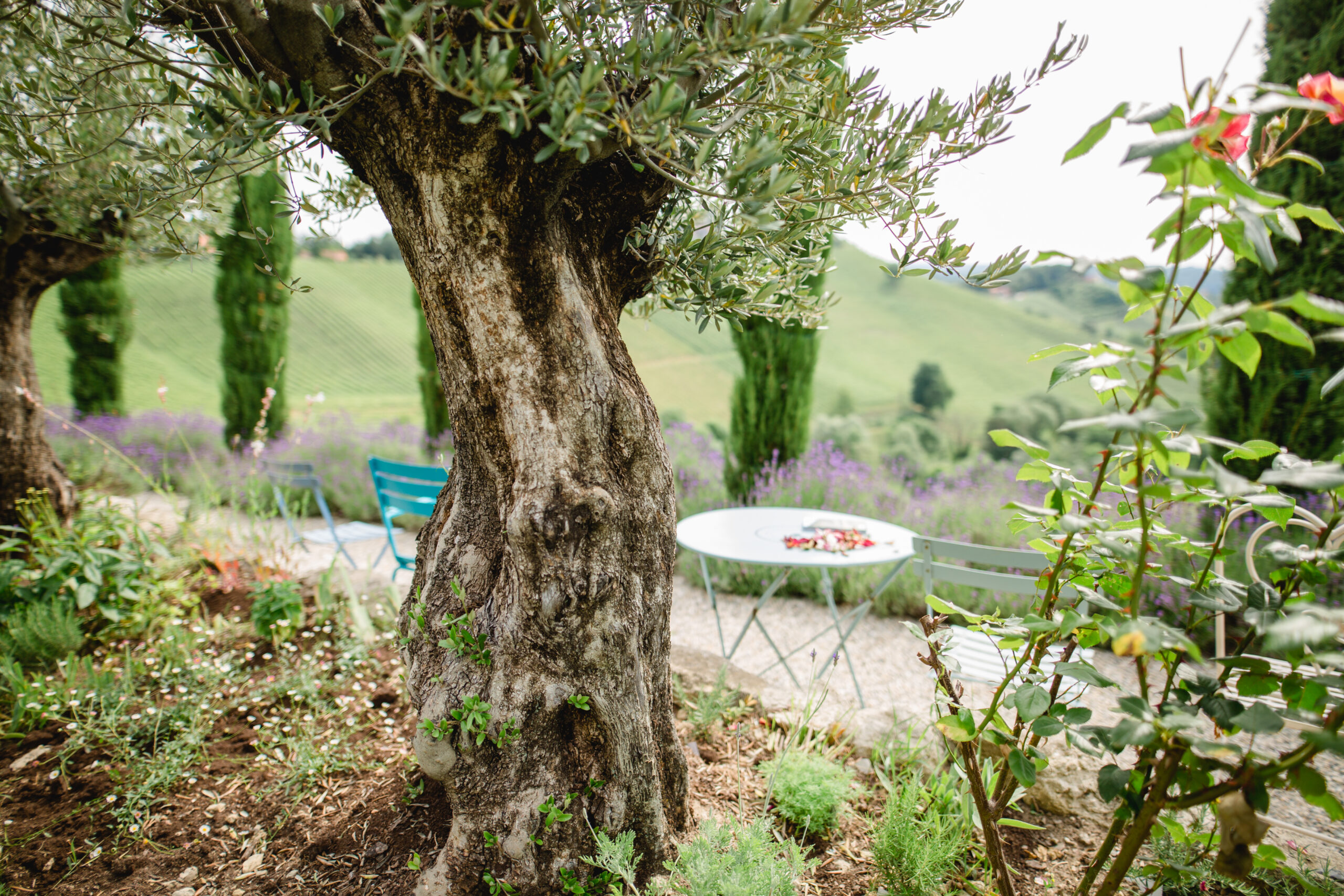 Garten Polz am Hochgrassnitzberg Fotografie Renate Polz WKO