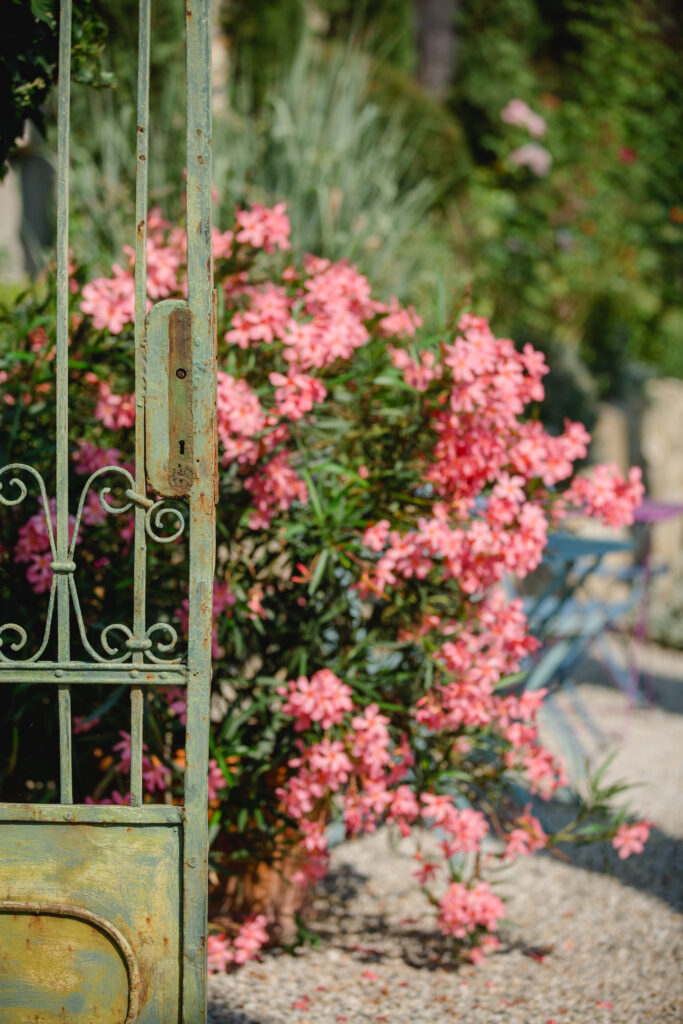 Natürlich schöne Fotos – mitten im Garten Persönlich. Unaufgeregt. Mit Blick fürs Wesentliche. Während eurer Trauung halte ich selbst die stillen, echten Momente fest – ungestellt und mit Gefühl. Ob ihr nur zu zweit seid oder ein paar liebe Menschen dabei habt: Hier ist Raum für echte Emotionen, ganz ohne Druck oder künstliche Posen. Nach der Zeremonie gibt’s auf Wunsch auch entspannte After-Wedding-Aufnahmen – barfuß im Gras, zwischen alten Mauern oder in der Abendsonne zwischen Zypressen. Mein Garten eignet sich aber nicht nur für Trauungen: Auch Menschen, die sich einfach gerne in der Natur fotografieren lassen – allein, als Paar oder mit der Familie – sind herzlich willkommen. Was zählt, ist nicht die Perfektion, sondern die Stimmung. Und davon gibt’s hier genug.