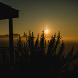 Polz Garten am Hochgrassnitzberg by @Renate Polz Südsteiermark