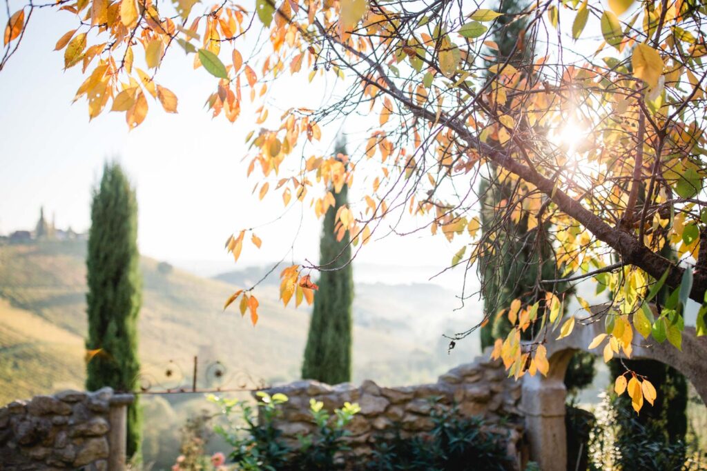 Trauung im Garten Polz by Renate Polz Hochzeitsfotografie & Location Südsteiermark HG