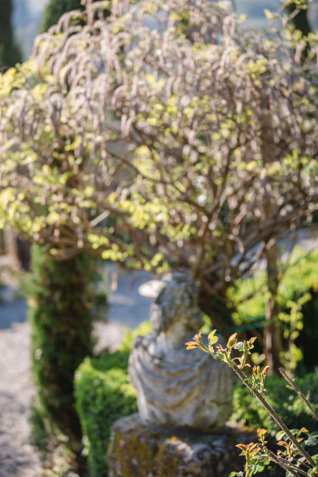 Südsteiermark Garten Polz am Hochgrassnitzberg by Renate Polz