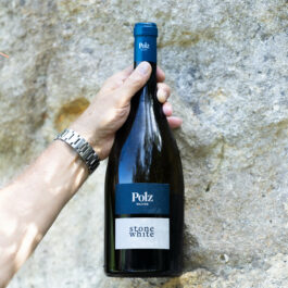 Walter Polz Weingarten Südsteiermark