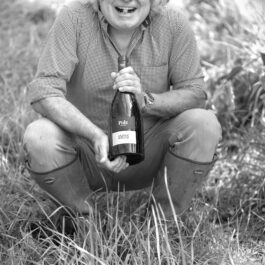 Walter Polz Weingarten Südsteiermark