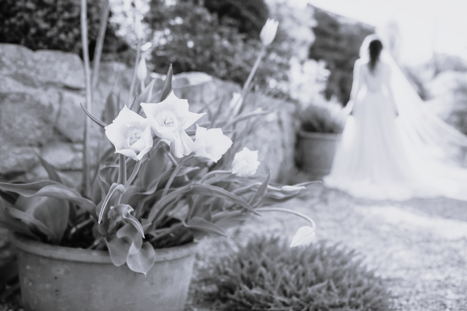 Südsteiermark Garten Polz Renate Polz Hochgrassnitzberg/southstyria