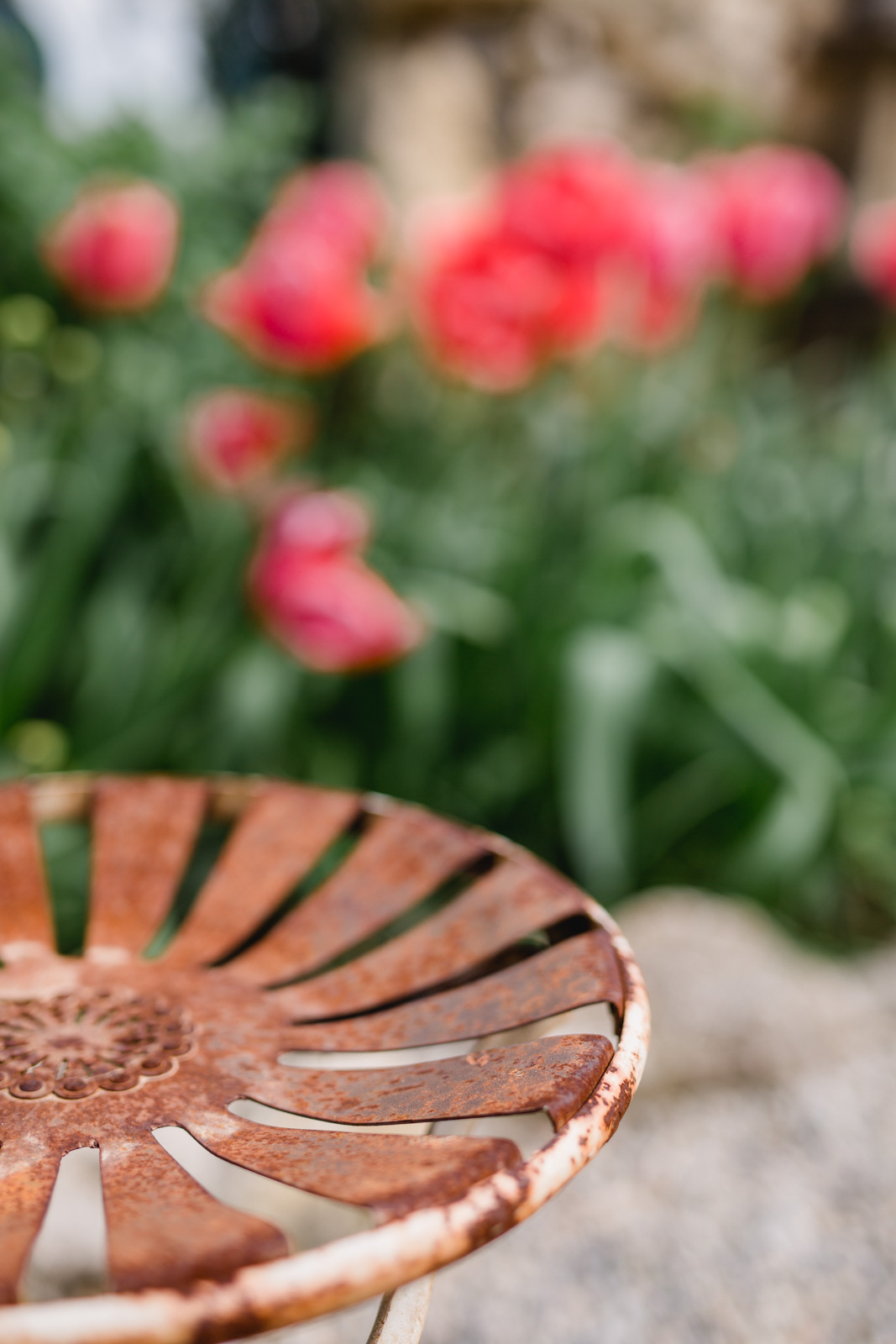 Südsteiermark Garten Polz Renate Polz Hochgrassnitzberg/southstyria
