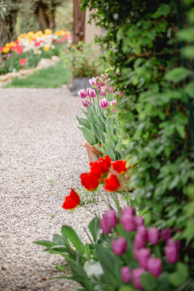 Südsteiermark Garten Polz Renate Polz Hochgrassnitzberg/southstyria