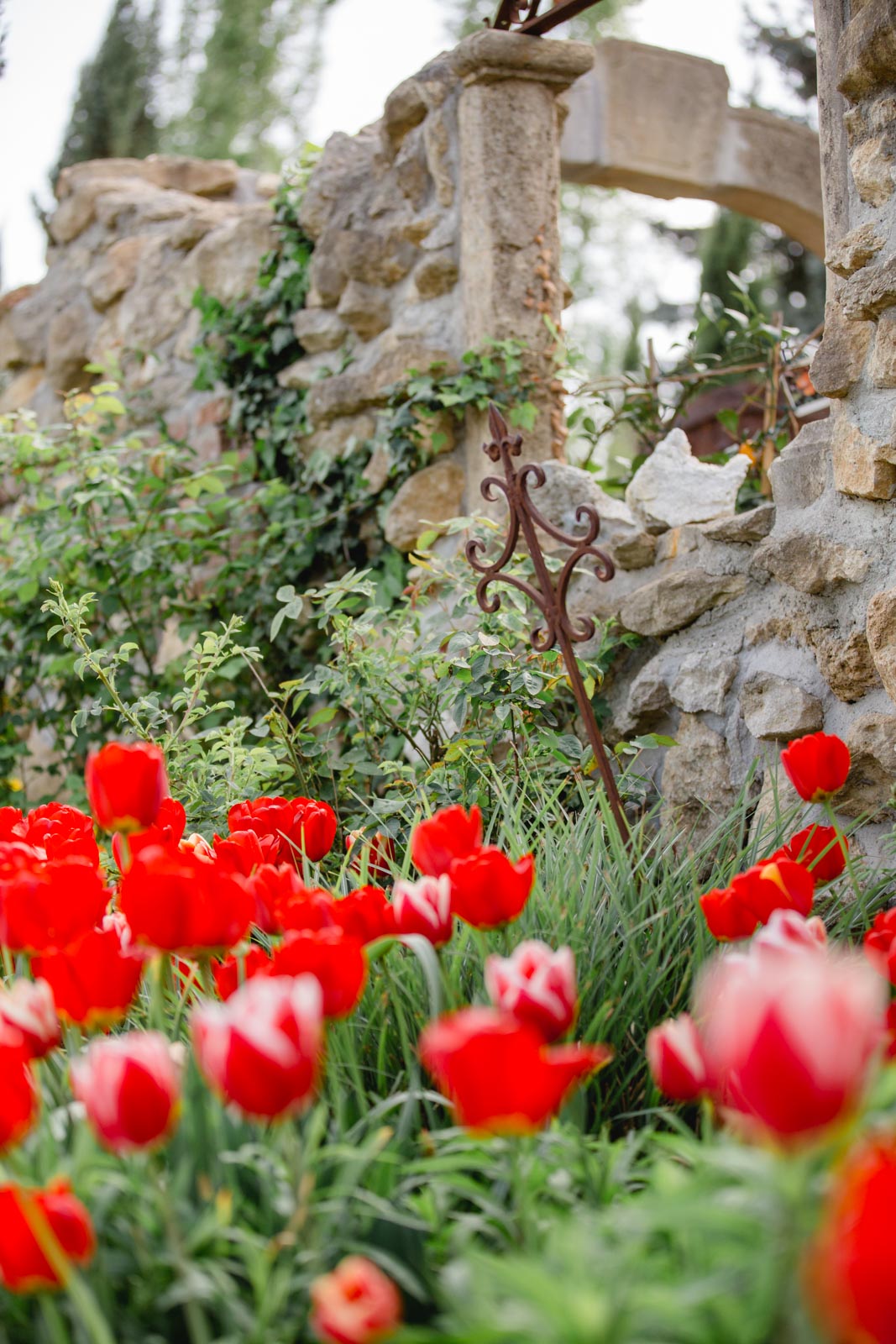 Südsteiermark Garten Polz Renate Polz Hochgrassnitzberg/southstyria