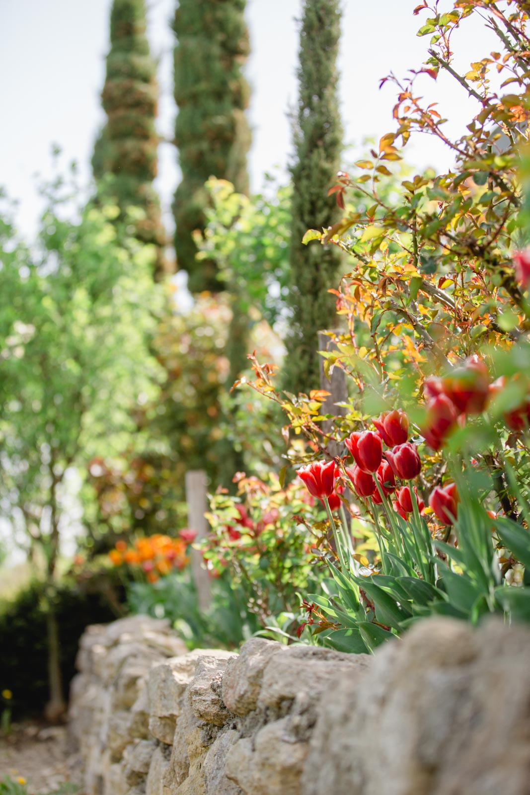 Südsteiermark Garten Polz Polz Renate/ Polz Garten Hochgrassnitzberg