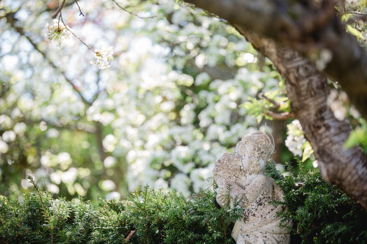 Garten Polz Hochgrassnitzberg Südsteiermark