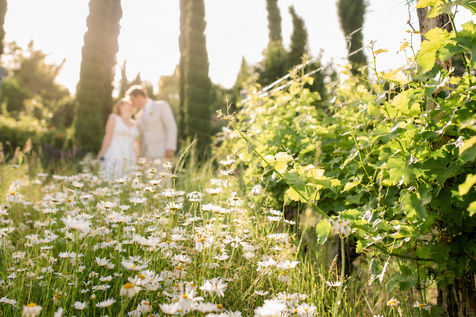 Rosengarten Polz Hochzeiten Südsteiermark