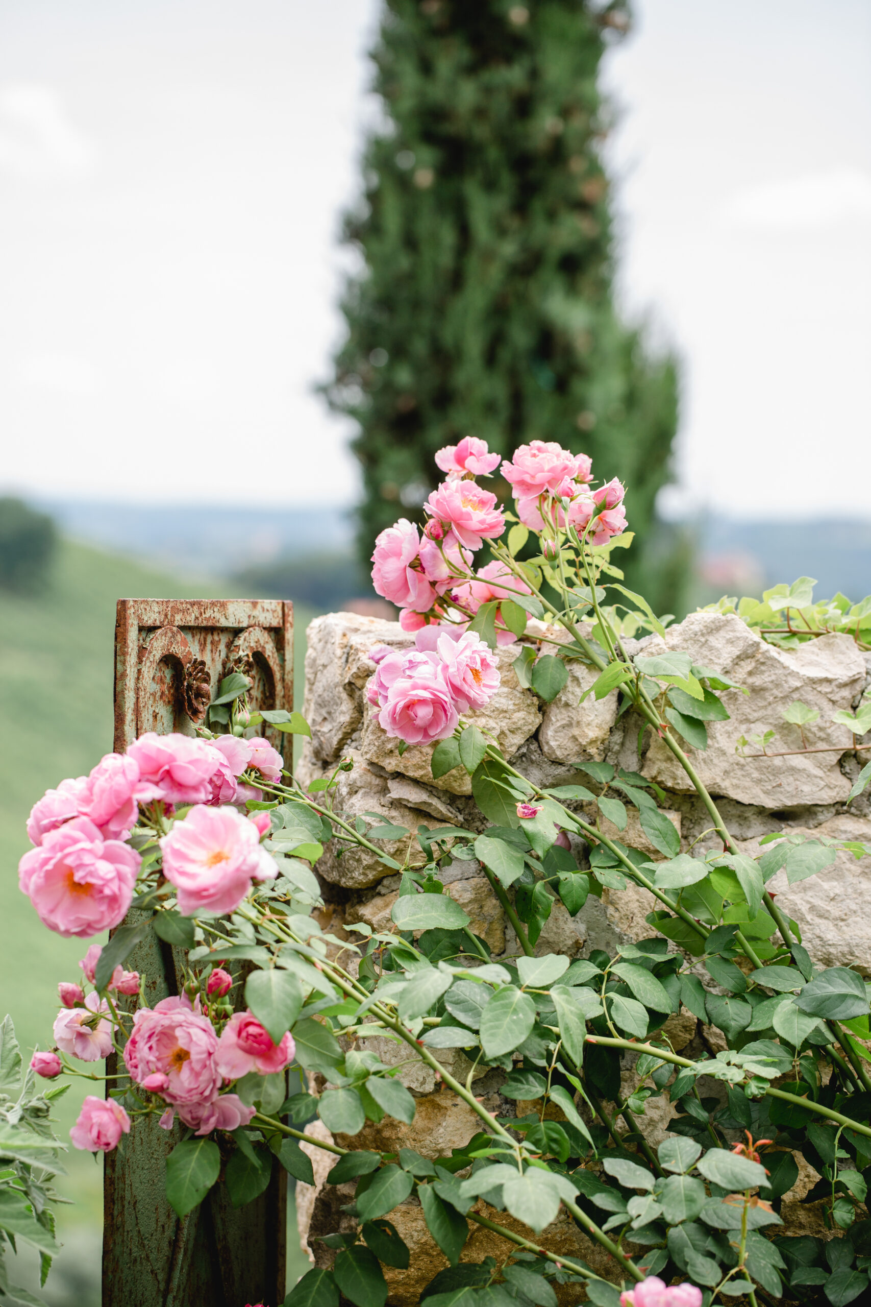 Polz Garten Südsteiermark